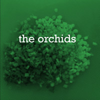 The Orchids - I Never Learn / Echos (Have Hope)