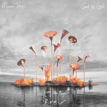 Moon Taxi - Good As Gold (Yung Olde Mayne Remix)