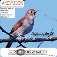 Andy Moon - Nightingale EP