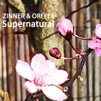 Zinner & Orffee - Supernatural