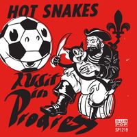 Hot Snakes - Audit in Progress (Explicit)