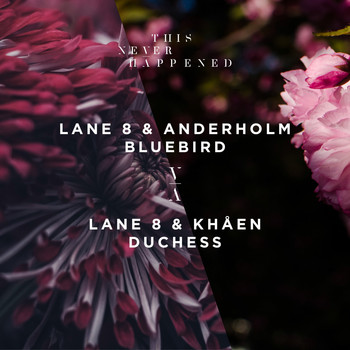 Lane 8, Anderholm, Khåen - Bluebird / Duchess