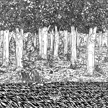 Family of the Year - Through the Trees