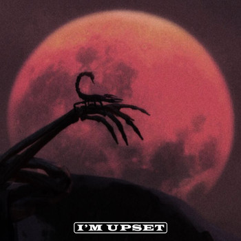 Drake - I'm Upset