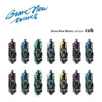 Cub - Brave New Waves Session