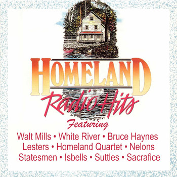 Various Artists - Homeland Radio Hits Vol 2