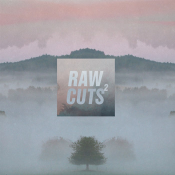 Various Artists - Chillhop Raw Cuts 2
