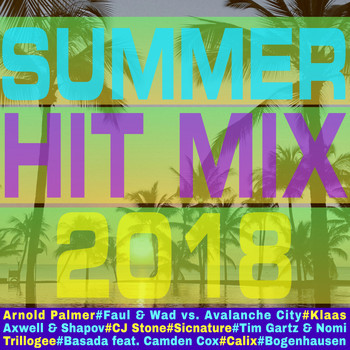 Various Artists - Summer Hit Mix 2018