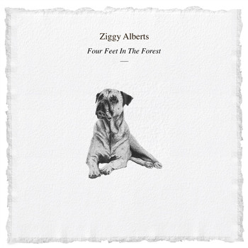 Ziggy Alberts - Four Feet in the Forest