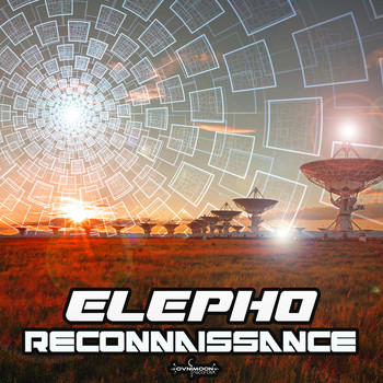 Elepho - Reconnaissance