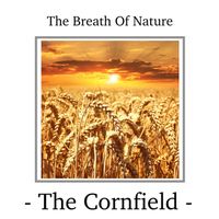 Field Notes Collective - The Cornfield
