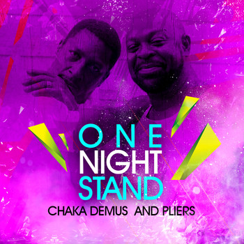 Chaka Demus And Pliers - One Night Stand