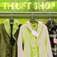 Thrift Shop - Thrift Shop