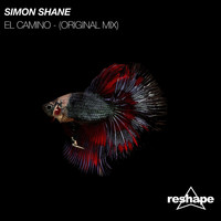 Simon Shane - El Camino