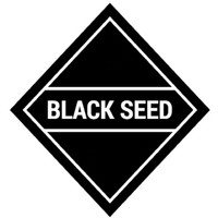 Black Seed - Take Me to the River (Green Mix 2018)