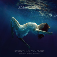 Simon James - Everything You Want