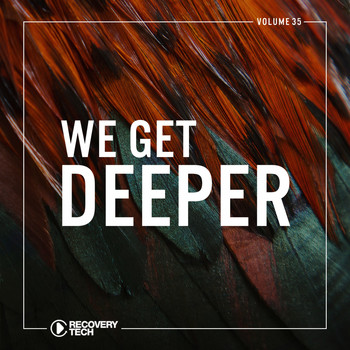 Various Artists - We Get Deeper, Vol. 35