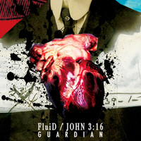 FluiD & John 3:16 - Guardian