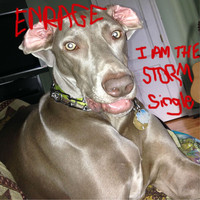 Enrage - I Am the Storm