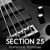 Section 25 - Illuminous Illuminae