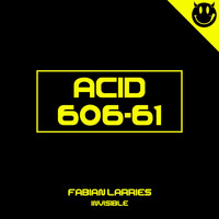 Fabian Larries - Invisible