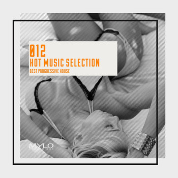 Various Artists - Hot Music Selection, Vol. 12 (Explicit)