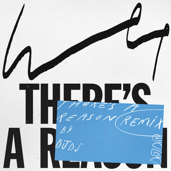 Wet - There's a Reason (DJDS Remix)