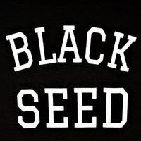 Black Seed - Crossroads (Green Mix 2018)