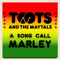 Toots And The Maytals - A Song Call Marley