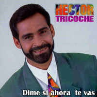 Hector Tricoche - Dime Si Ahora Te Vas