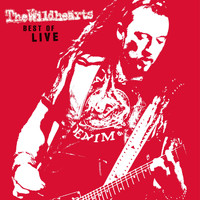 The Wildhearts - Best of Live