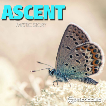 Ascent - Mystic Story