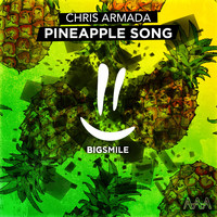 Chris Armada - Pineapple Song