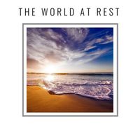 Field Notes Collective - The World at Rest