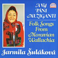 Jarmila Šuláková - A Vy Páni Muziganti