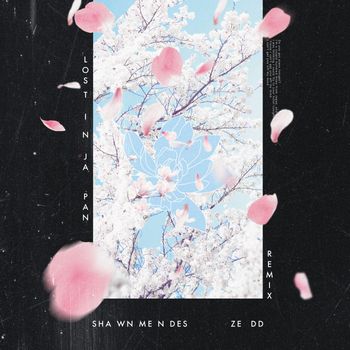Shawn Mendes - Lost In Japan (Remix)