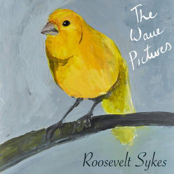 The Wave Pictures - Roosevelt Sykes