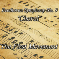 The Boston Philharmonic Orchestra - Beethoven Symphony No. 9 'Choral'- The First Movement