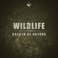 Wildlife - Breath of Nature