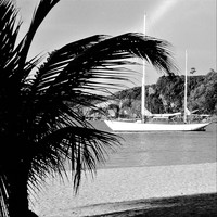 Rich Jones - Caribbean Lime