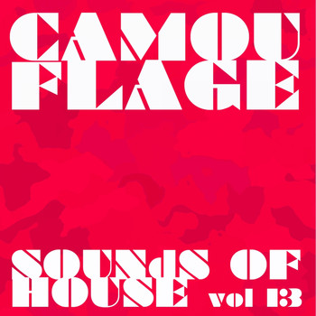 Various Artists - Camouflage Sounds of House, Vol.13