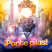 Mr Wilson - Ponte Pila