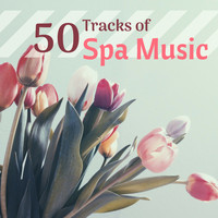 Spa Music Collective - 50 Tracks of Spa Music - Collective Hotel & Wellness Songs