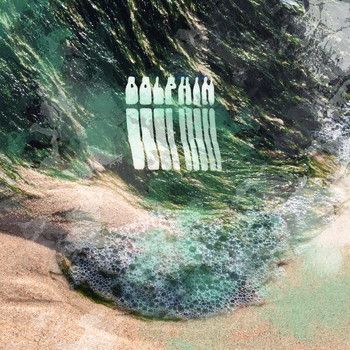 Panda Bear - Dolphin