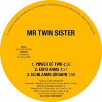 Mr Twin Sister - Power of Two / Echo Arms
