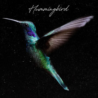Paul Taylor - Hummingbird