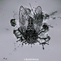 Jason Williams - I Sleepwalk