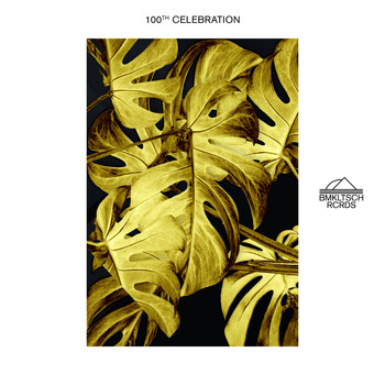 Various Artists - Bmkltsch 100th Celebration