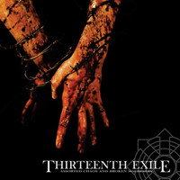 Thirteenth Exile - Assorted Chaos and Broken Machinery