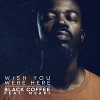 Black Coffee feat. Msaki - Wish You Were Here